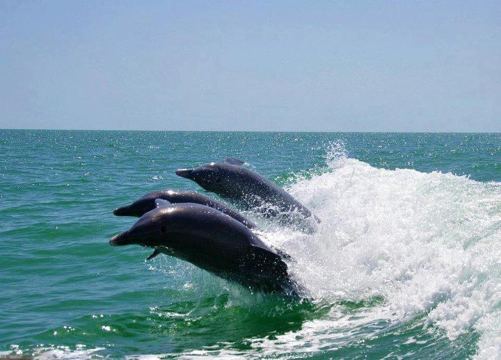 Key West watersports