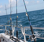 key west party boat fishing