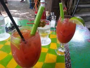 Key West bloody mary drinks