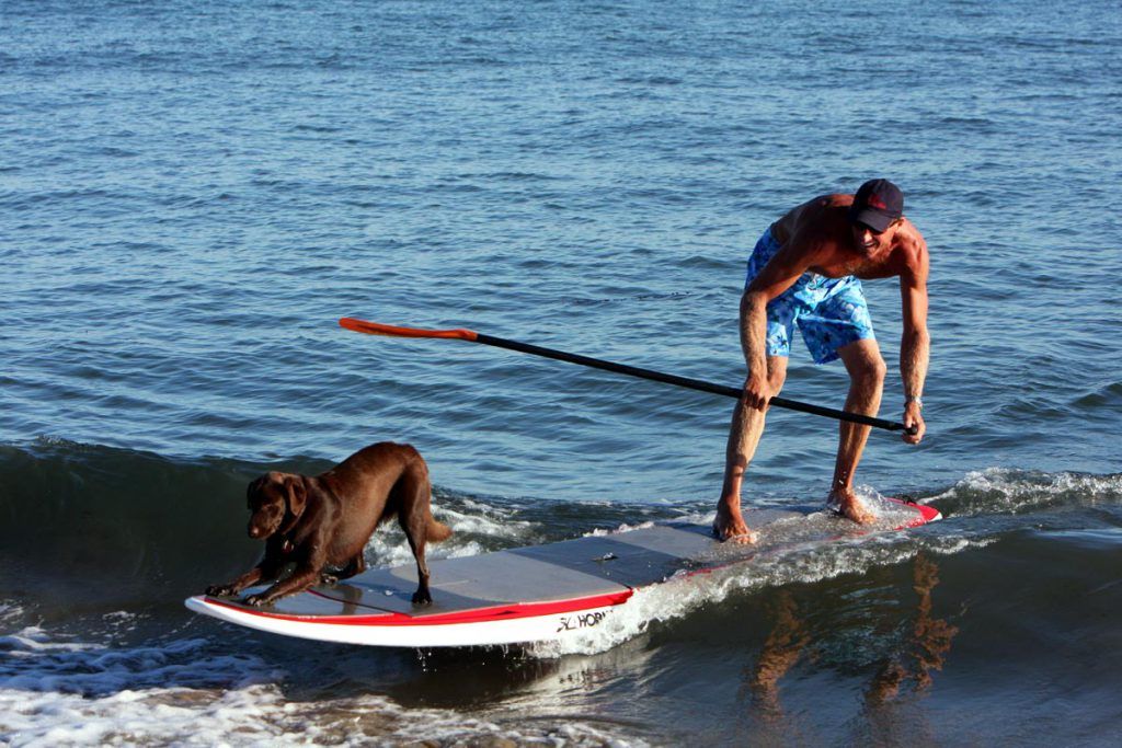 key west paddle boarding