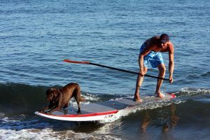key west paddle boarding
